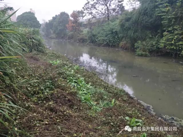 南昌水泥厂东侧水系截污管工程完成方案设计