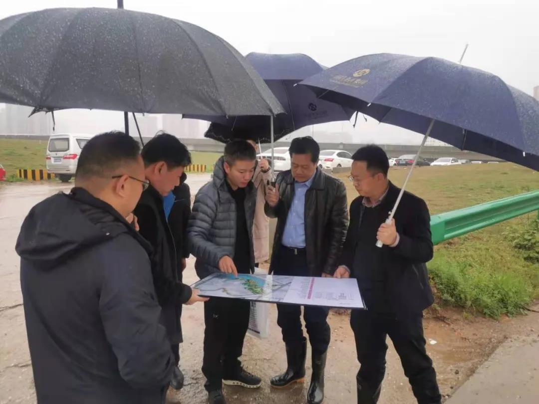 董事长谢荣华调研黄家湖水系环境综合提升工程